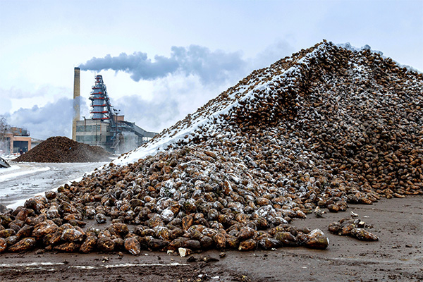 3. Виробництво цукру